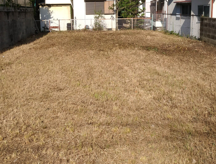 箕面で空き地の草刈り、除草剤散布